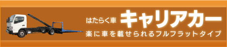 ■特殊貨物 キャリアカー（薄茶）