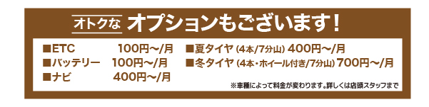 オプションあります